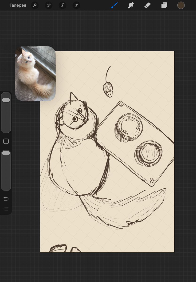 Pallumia_X's tweet photo. It's very hungry cat🐱
#Pallumiaart #cat #sketch https://t.co/DvsJKMsQdY