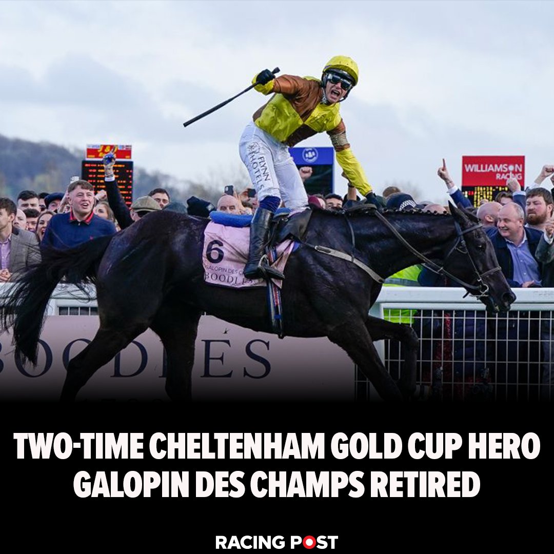 RacingPost's tweet photo. Dual Cheltenham Gold Cup winner Galopin Des Champs has been retired https://t.co/kkhjElp5PV