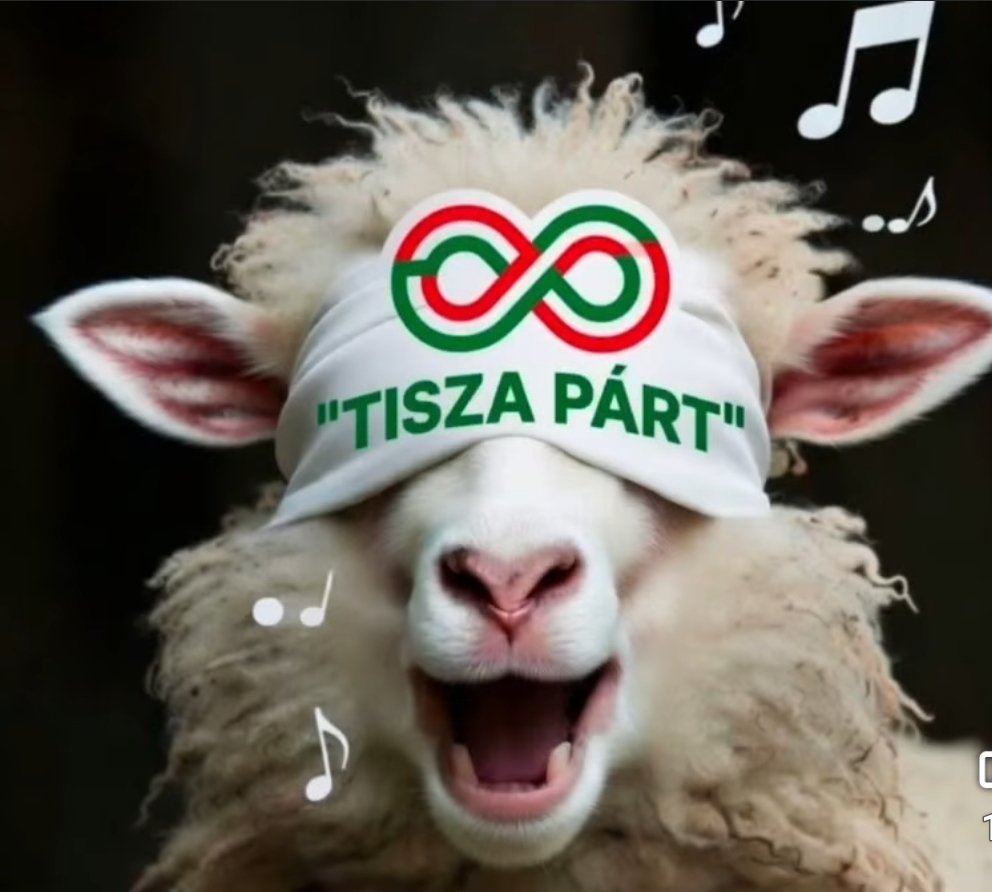 bagazoli's tweet photo. @magyarpeterMP Szaros kis komcsi vagy. Le sem szarod hány embert teszel tönkre a kicsinyes bosszúiddal. 🤡🤮De hamarosan eltakarodsz. 🤡🤡🤡🤡💩💩💩 https://t.co/U8KndIRcCJ