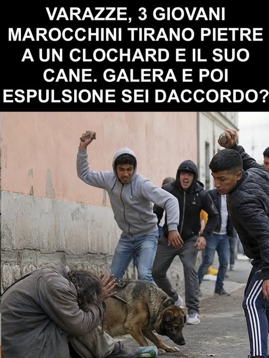 RobertoAvventu2's tweet photo. Non abbiamo bisogno di questa gentaglia. Fuori tutti!!!
Nei giorni scorsi, a Varazze (nella provincia di Savona), un uomo senza fissa dimora e il suo cane sono stati presi di mira e aggrediti con il lancio di sassi e pietre.  Grazie al tempestivo intervento delle Forze dell'Ordine e all'analisi delle telecamere di videosorveglianza della zona, i responsabili del gesto – tre giovani poco più che maggiorenni – sono stati individuati e identificati dalle autorità. Nei confronti dei tre ragazzi sono scattate le denunce e i provvedimenti previsti dalla legge per i reati di lesioni e maltrattamento di animali. Parallelamente, sono state attivate le reti di solidarietà locali per sincerarsi delle condizioni di salute del clochard e del suo cane e per fornire loro la necessaria assistenza medica e sociale.