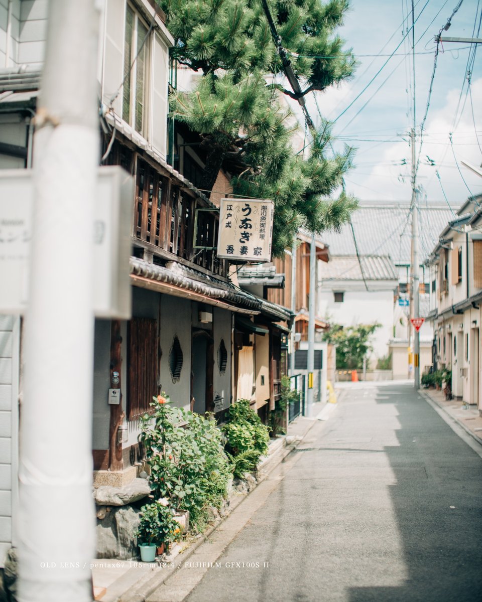 tomolens's tweet photo. VINTAGE TRAVEL 🚶 KYOTO＊HIGASHIYAMA / 京都＊東山
- - - - - - - - - - - -
❍ OLD LENS
pentax67 105mm f2.4

📷 CAMERA
FUJIFILM GFX100S II

📖 https://t.co/voiO0LFKqO
- - - - - - - - - - - -
#オールドレンズ #VintageLens
#東山 #Kyoto #JapanTravel https://t.co/NGwBx4OVR5