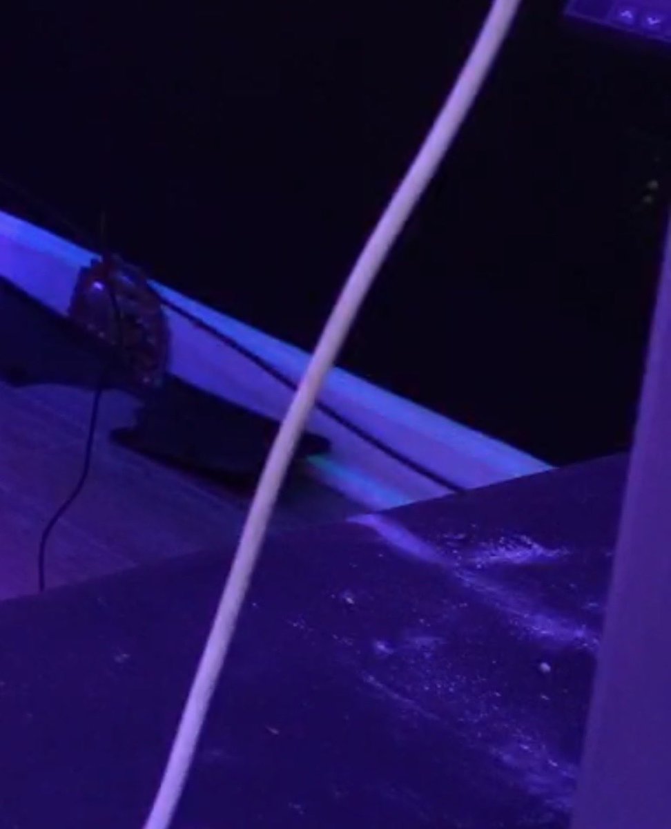 AndWooh's tweet photo. Not Chrisean, aka Miss Holy Hands was snorting that pure white on stream last night, and her friend tried to get rid of the evidence by “low-key” sweeping it off the table 😂😂😂😂😂😂 

I didn’t know you could be a coke head and a professional boxer at the same time 🤷🏽‍♀️ https://t.co/n18ssx6WG4