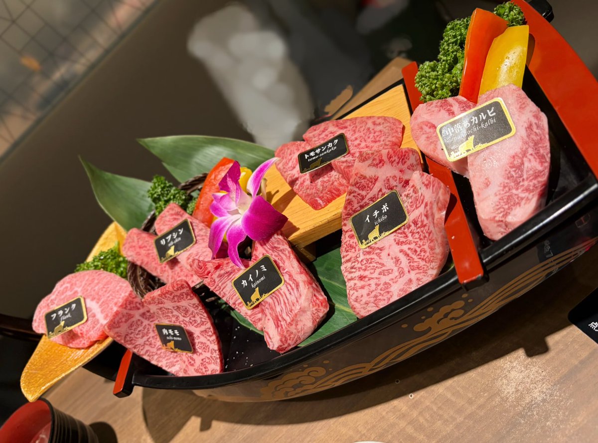 YUYU_FGC's tweet photo. HP回復🌱✨ https://t.co/DNwZISMjVn