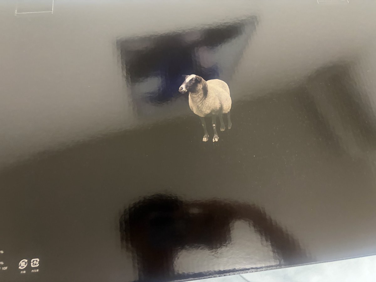dai_0965's tweet photo. 新しい枕買った！箱の裏にひつじおった🐏 https://t.co/3Rf8G06ArS