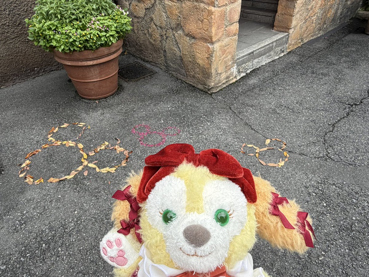 Riyelem's tweet photo. 3ヶ月ぶりのシーでした🌋
アンちゃん無事お迎え出来てほんとなによりだった、2日間気が気じゃなかった https://t.co/jWWWxfVFgX