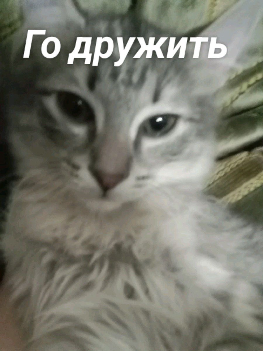 Marisvu0's tweet photo. Так мне нравится твит, можно постить любую хуйню и никто не осудит https://t.co/4aTeDmhFci
