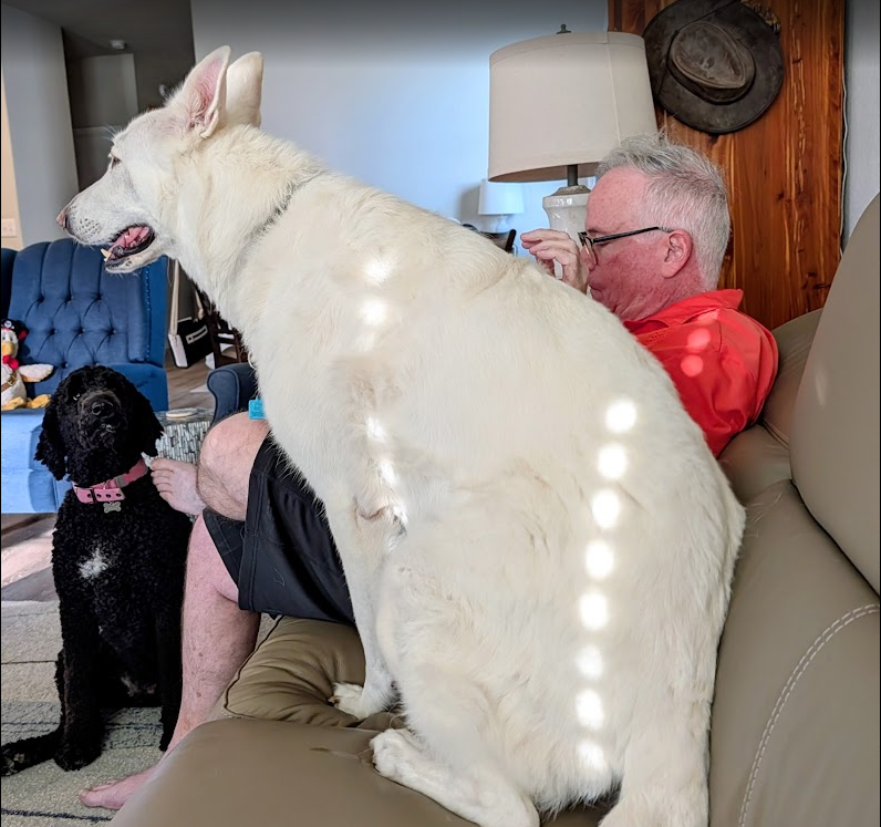 earlgraham's tweet photo. @icreatelife Dogs wanted to take over. 🫤 https://t.co/eaMUAAJpZU