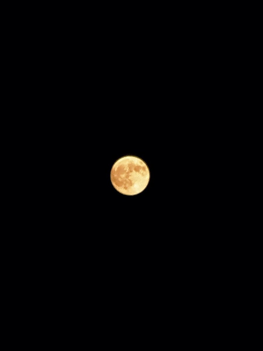 LuvBin13's tweet photo. 오늘도 한빈이가 보내준 달 사진 ~ 🌙 https://t.co/l1EYbU561J