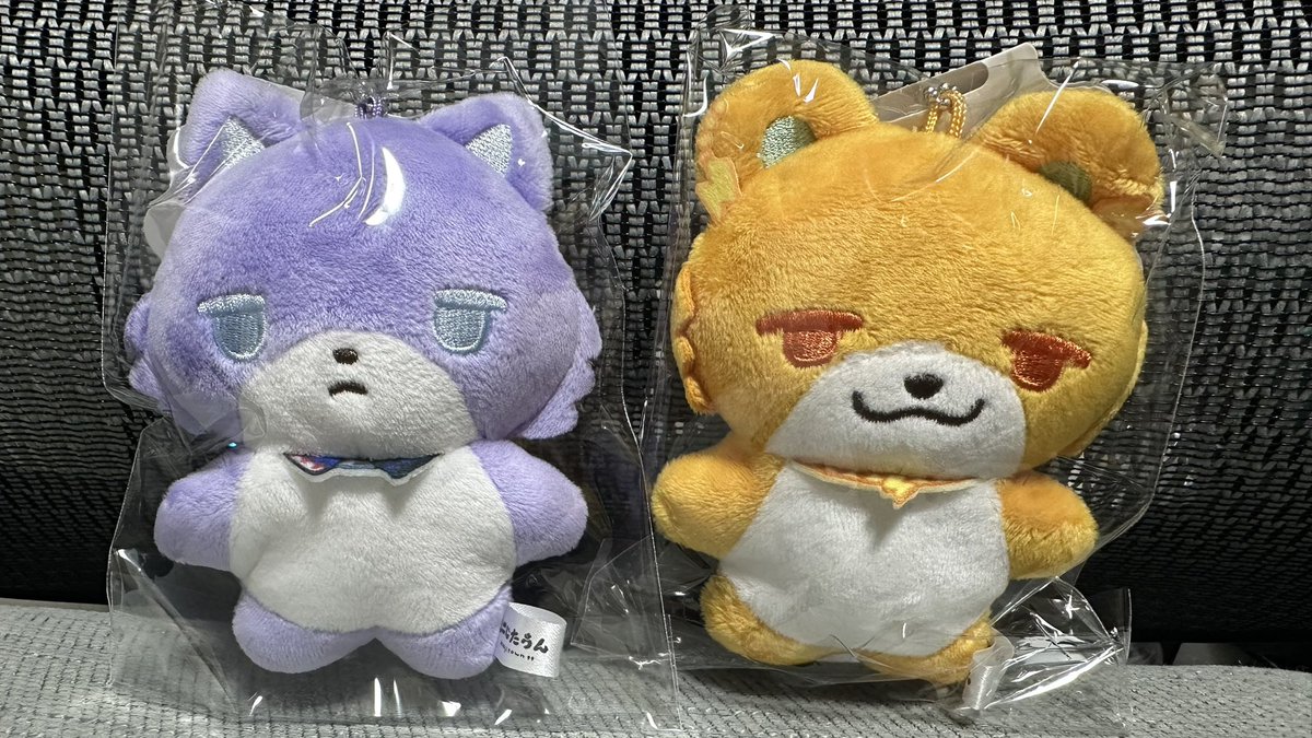 mutsukin_17's tweet photo. にじたうんついにお迎え！可愛すぎる😭 https://t.co/1WdBXjppox