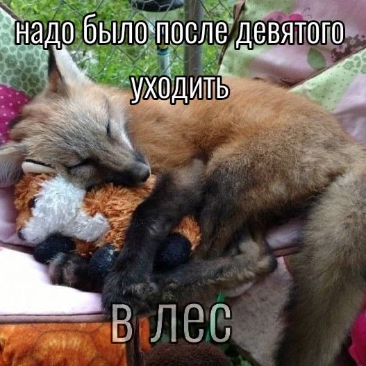 l1ffjk's tweet photo. Я совсем не знаю на кого поступать и с каким делом связать своё будущее с профессией.😕 поделитесь, на кого поступаете вы? https://t.co/8LzhymCpAp