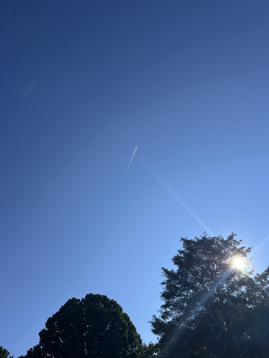 purposeinflight's tweet photo. There is nothing better than a morning walk with birds chirping and airplanes in the sky ✈️

#aviation #falliscoming #walking #purposeinflight https://t.co/DnBcHtKwGu