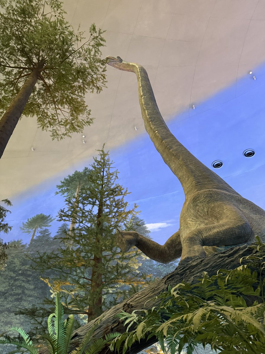 majanran's tweet photo. 恐竜パスタ🦖🦕 https://t.co/wokriUBtaC