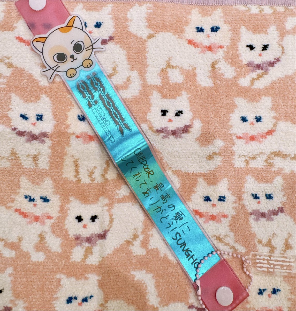 moondoor904's tweet photo. 銀テホルダーに入れてみた。なんとか入ったε-(´-`*)ボネクド銀テ踏まれてないエリアのがほとんどだけど最初から折れたりボロボロの結構あった。現地で結構配ったけど大丈夫だったか心配なってきた💦まだたくさんあるので1人ずつ切ったのでよければ欲しい人っているかな？ https://t.co/kWzQccSe4R
