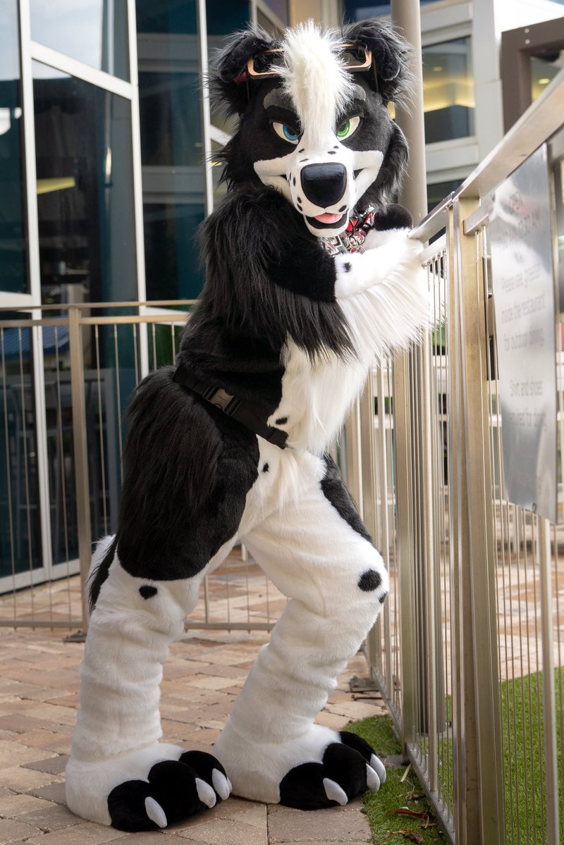 FarmDoggo's tweet photo. Deep voice ✅
-Is taller than 5’11” ❌ 
-Weighs more than 155lbs ✅
-Wears size over 7 1/2 ✅ 
-More male friends than female friends ✅
-Knows how to grill barbecue ✅
-Watches football ✅
-Wears a football jersey ❌
-Hairy armpits/legs ✅

I’m 5’9 OK 😤

📸: @FlowTheWolf_ https://t.co/e2U9P7g3y1
