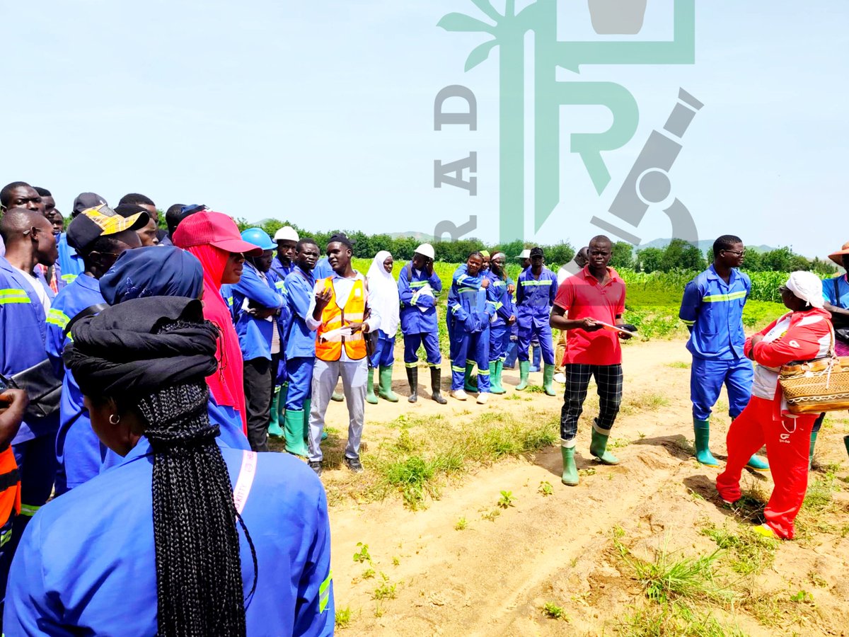 IRADCmr's tweet photo. Ce 27/08/26, les étudiants stagiaires de #ENSPM de #Maroua ont effectué une descente de terrain, dans le cadre de leurs travaux pratiques. Cette activité axée sur la mise en place et suivi des essais expérimentaux s'est déroulée sur le site du #CRA #IRAD de #Maroua à Guiring. https://t.co/xcQXeMKmgi