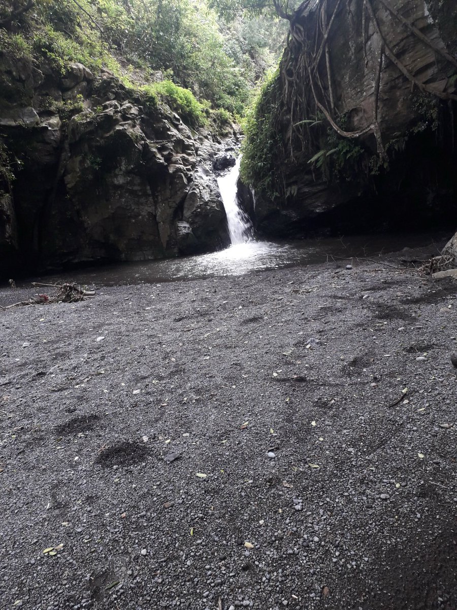 ahmirguy's tweet photo. What’s your current view? https://t.co/CxSEMYekWC