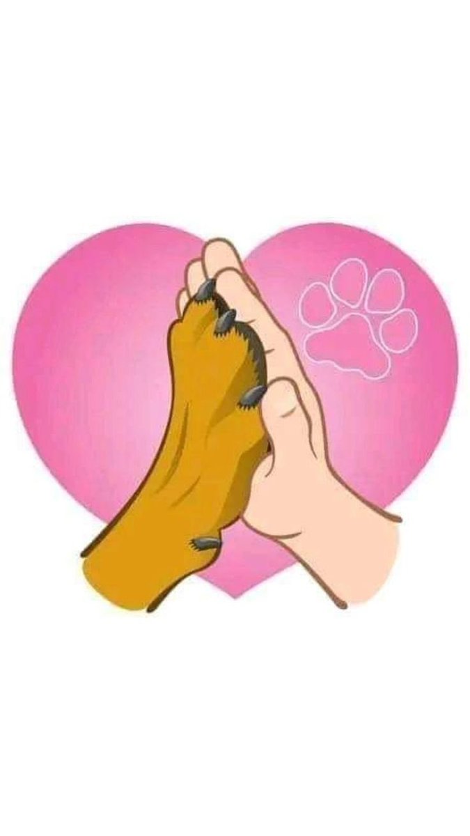 Kerinybze's tweet photo. 🐶❤️ https://t.co/FoOSdHlP3o