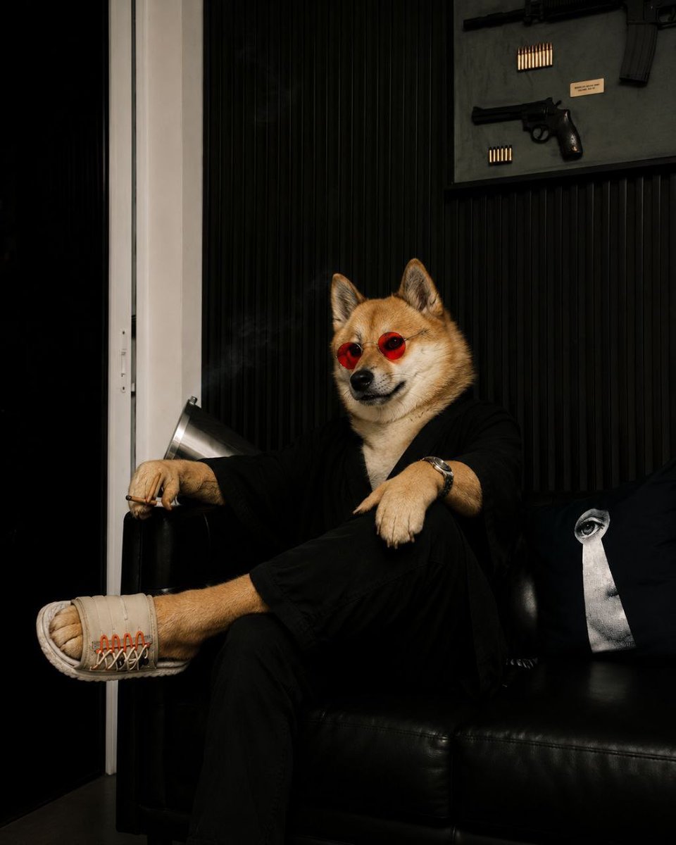 onchain2x's tweet photo. He’s not hiding from anything. He’s just done reacting to it.

The guns on the wall aren’t for show — they’re just proof he’s been ready this whole time. The cigar’s slow because there’s nowhere else he needs to be.

$DOGE2 didn’t get built by people rushing decisions. It got built by people who already made theirs.

🐕🚬