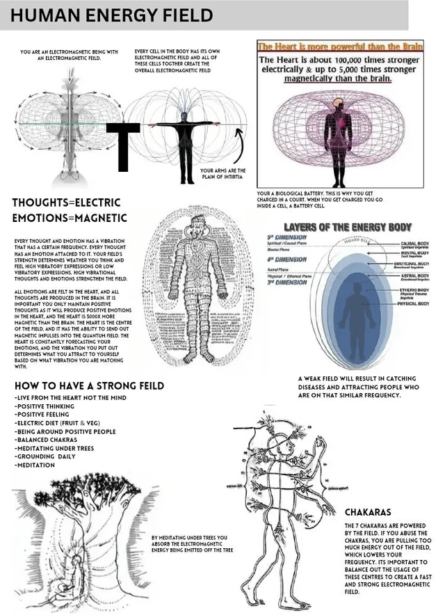 TyrReborn's tweet photo. Electromagnetism appears to have effects on magical ability

That's because humans are bioelectric by nature, and the human heart creates a toroidal magnetic field rotating around the body that is 5,000 times more powerful than the brain https://t.co/swVTeq5OFJ