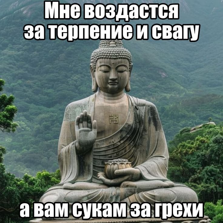 volkterpitt's tweet photo. меня настолько заебала работа, что я вспомнила про свое тихое место и пришла спустя 4 года https://t.co/q61SUh4uns