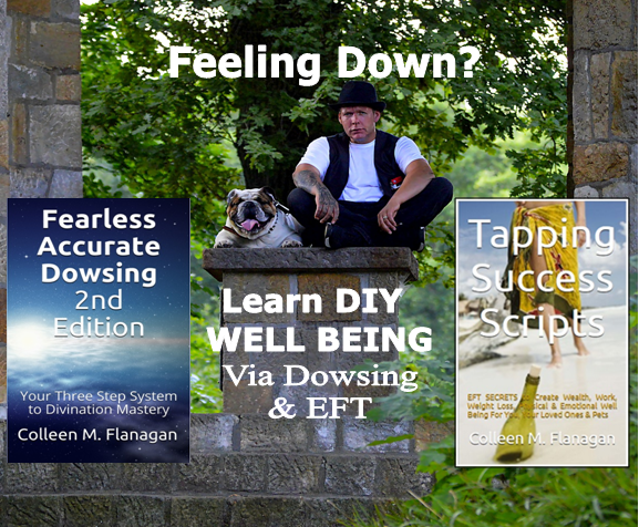HolisticTips4U's tweet photo. Find HIDDEN triggers of ailments, relieve trauma!
📘 FREE Dowsing chapters: https://t.co/MYuNdgJa0r
📽️ EFT session: https://t.co/7dHZgqQKPB
📚 Details: https://t.co/Q96OufBP1T
DIY #wellness for you #family #pets via #dowsing worksheets, #tapping scripts, mind-body healing chart. https://t.co/pj2MQ1Cu5A