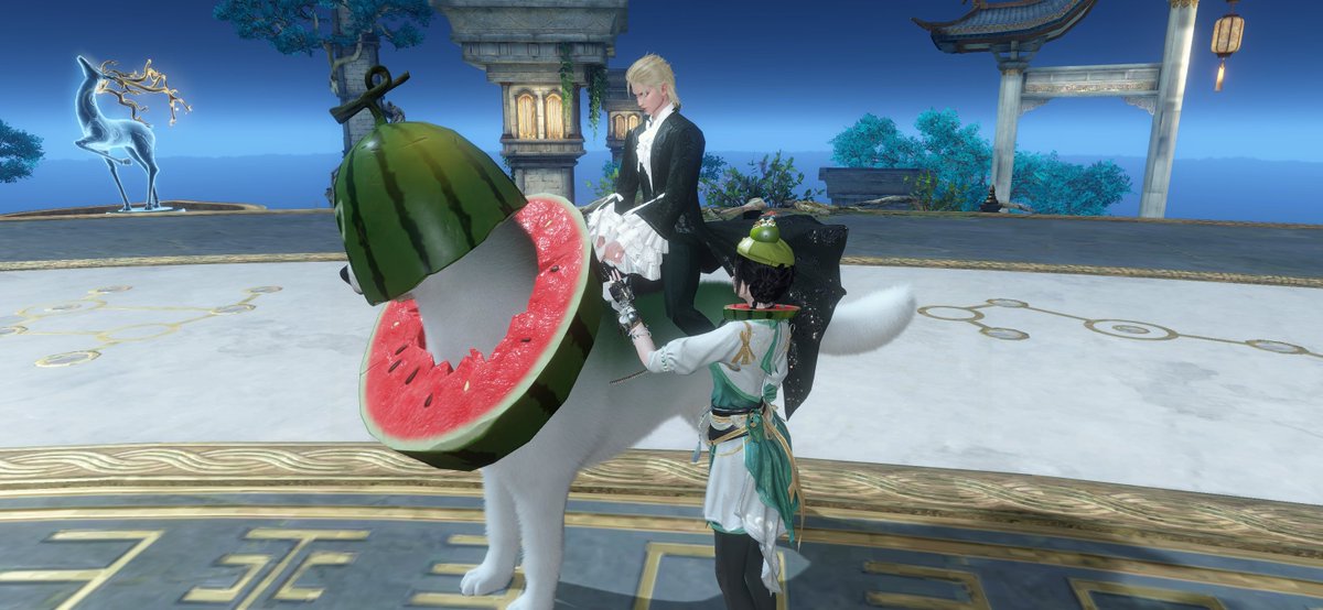 sousizyu's tweet photo. ありがとう
また乗せてあげるねー(「🍉･ω･)｢🍉
凧が最近荒ぶらない！ https://t.co/Q8RlxLo31f