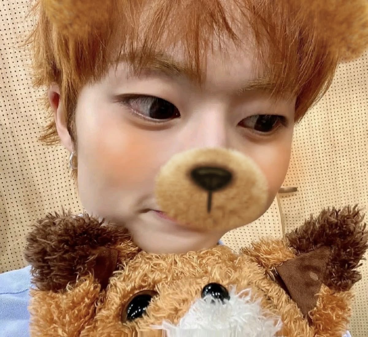 pleasetaerae's tweet photo. ⋅˚₊‧ 𐙚  hai !! i’m ruby &amp; im lf #kpoptwt moots !!

⌗ ruby 07 any prns! 
— ♡: svt txt zb1 a2b p1h bnd illit njz ae ++
⌗ interactive moots pleek (any fandom ok!!)
⌗ also in lots of other fandoms ^v^
#mootshunt #moatwt #carattwt #zerosetwt #p1ecetwt 

♡ &amp; ↻ appreciated! https://t.co/oOppWEujfy