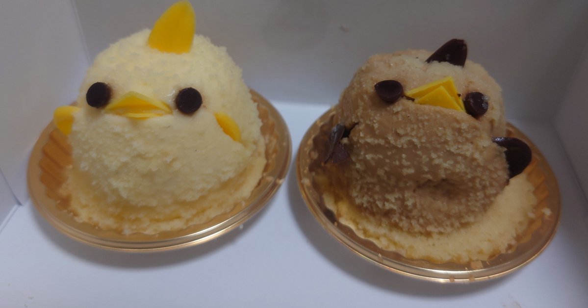 aikweic's tweet photo. 15時に買って23時に帰宅したぴよ思ってた以上に生きてた https://t.co/CY4nR2tOUu