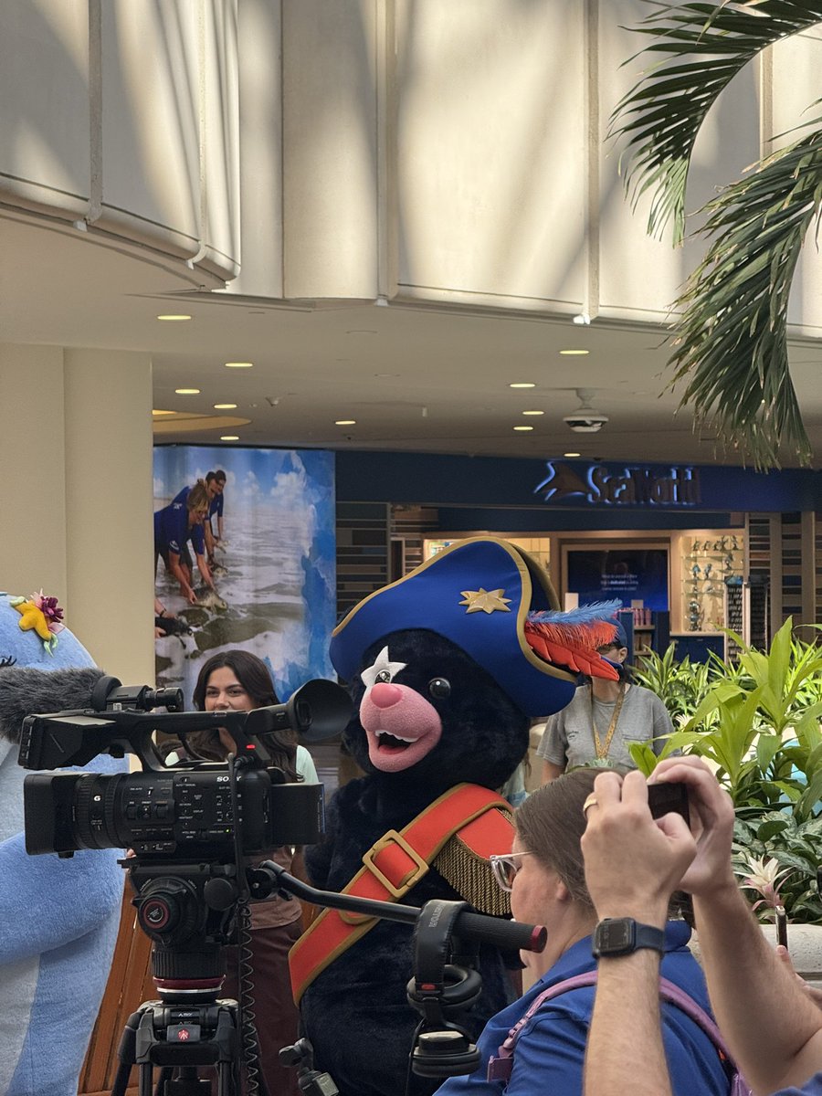 SpeculationMatt's tweet photo. It’s crazy who you run into at the airport! Captain Cacao is here! @UniversalORL https://t.co/XLtMlzllAC