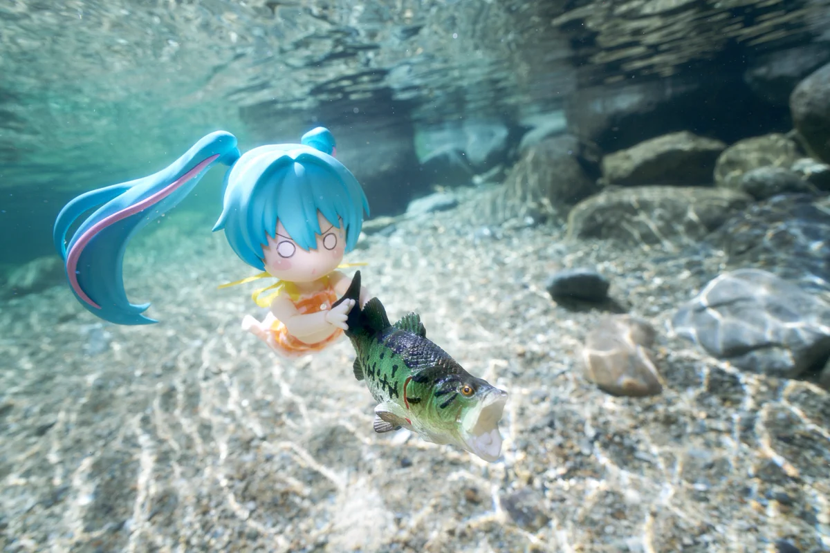 たかぴ on X: 