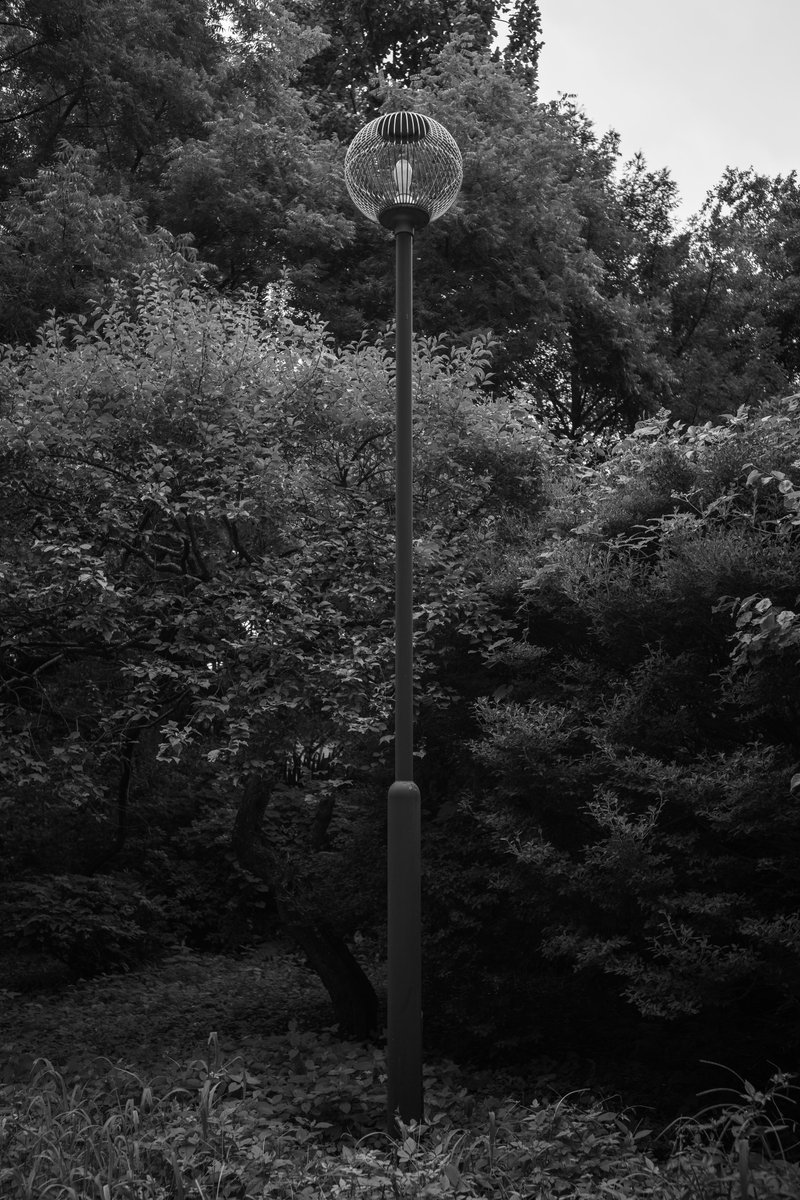 by_dao_'s tweet photo. 気��なる質感にカメラを向けてみる。
#Leica #SL3S #Snap #PureRAW https://t.co/G591zXTCKA