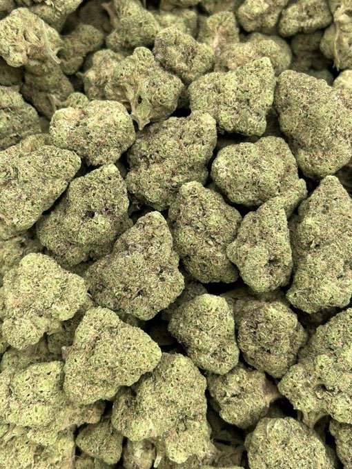 DanGuilmette's tweet photo. Sydney coke Parramatta Granville Carlingford Campbeltown 420 Leumeah weed Hornsby vapes Penrith Liverpool Chatswood Manly vue coke Bankstown Shard Hurstville Brisbane Melbourne Adelaide vapes Canberra Randwick Coogee Blacktown Castle pills Australie 
https://t.co/4DZRKNr8FP https://t.co/tZVcBc4mv1