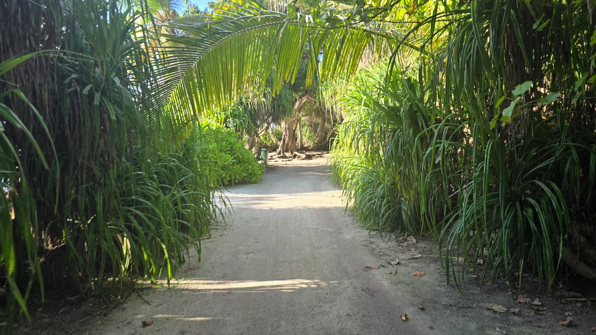 SLinMaldives's tweet photo. During visit to the Southern Atolls, High Commissioner of Sri Lanka to the Maldives, M. Rizvi Hassen, visited the marine protected areas (MPAs), wetlands and ecopark reserves in Addu Hithadhoo, Meedhoo and Fuvahmulah. https://t.co/BCQcqo0uUy