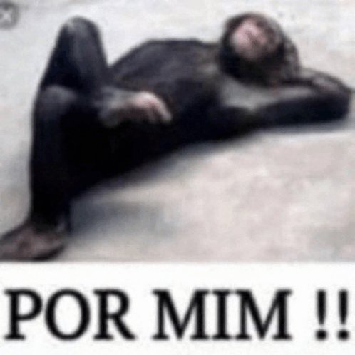 linkkkkkk02's tweet photo. @queirozzz06 @Brunildonaa pois tô pouco me fudendo kkkkkk https://t.co/7DwRhDinot