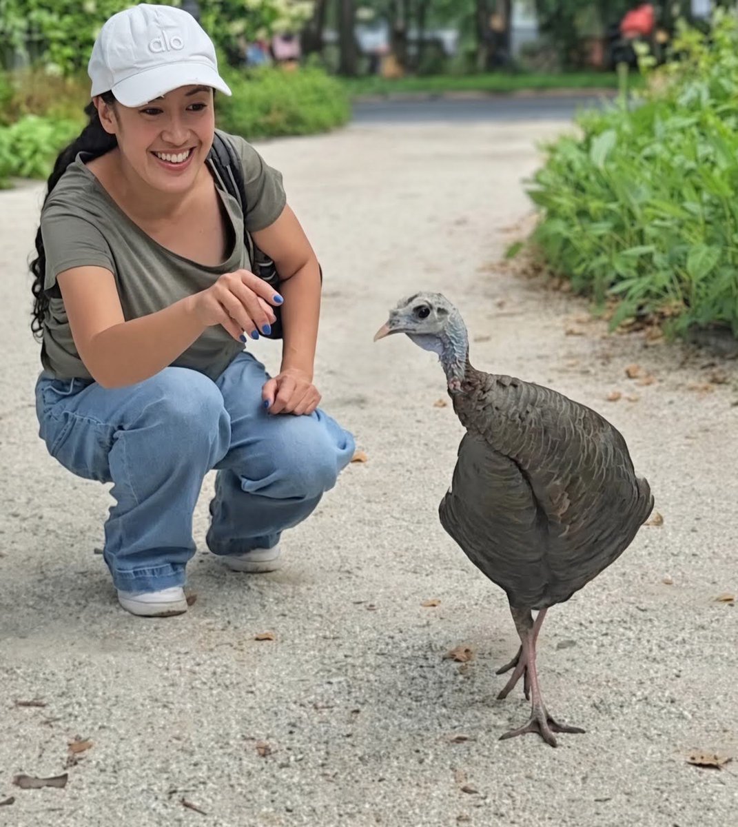 BirdCentralPark's tweet photo. "Look at the camera," motions Astoria the Wild Turkey's devoted caregiver and trusted friend @Hanabi_NYC, who visits Astoria every day (and has for over two years), to make sure she stays healthy and safe. https://t.co/QMhsaDsqez