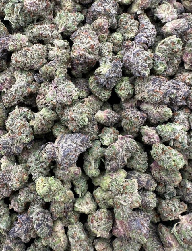 Stonersplug2's tweet photo. SAME DAY EXOTIC CANDY WEED DELIVERY REAL ZAZA Cali kush buds flower THC Vape Hash, Cardiff, Swansea, Newport, Wrexham, Bangor, Aberystwyth, Llandudno, Carmarthen, Rhyl, Merthyr Tydfil
London, Manchester, Birmingham, Liverpool, Leeds, Bristol, Glasgow, Edinburgh, Belfast,Sheffield https://t.co/mETTq8Zb1L