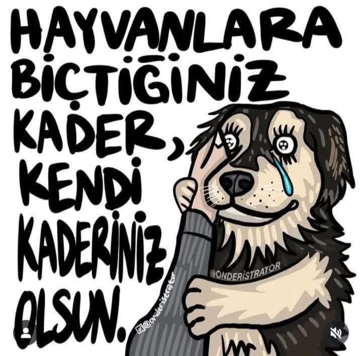 Muhitti10430598's tweet photo. @gazetesozcu https://t.co/l72LeQYpHr