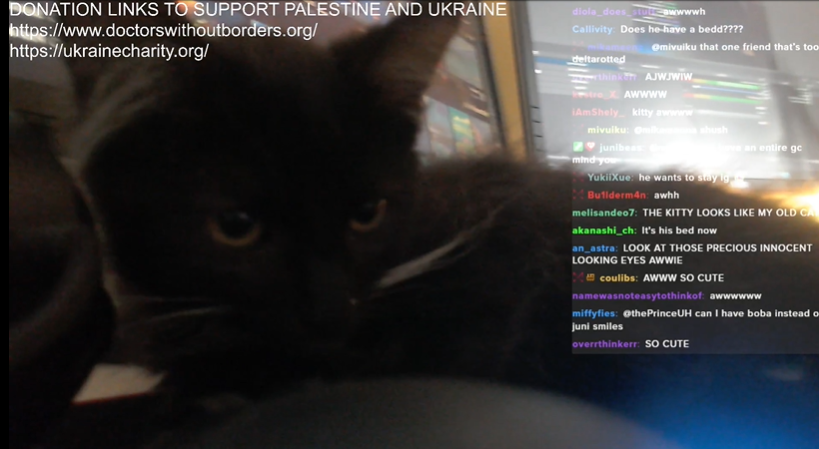 boomerdoomer5's tweet photo. say hello to my son his name is ubbe :) https://t.co/BH2k6FKfkd