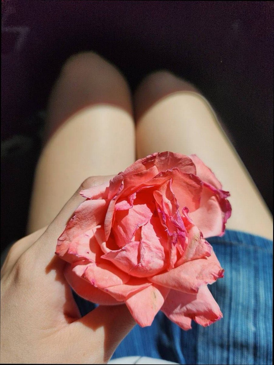 Janecwsoa's tweet photo. prettier 🌸 https://t.co/UdHctnfmTt