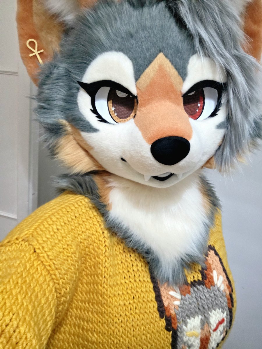 fhyraSFW's tweet photo. Fhyra sweater?

Fhyra sweater! (Or jumper depending on where I smoosh you)

It's super warm, I love it so much. Gonna wear this all through autumn and winter. 🧡

Thank you, @polisews and @shiones !! https://t.co/JOMF4JURpm