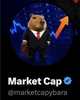 marketcapybara's tweet photo. I'm now verified on X to show I mean business https://t.co/fkANvCy5oZ