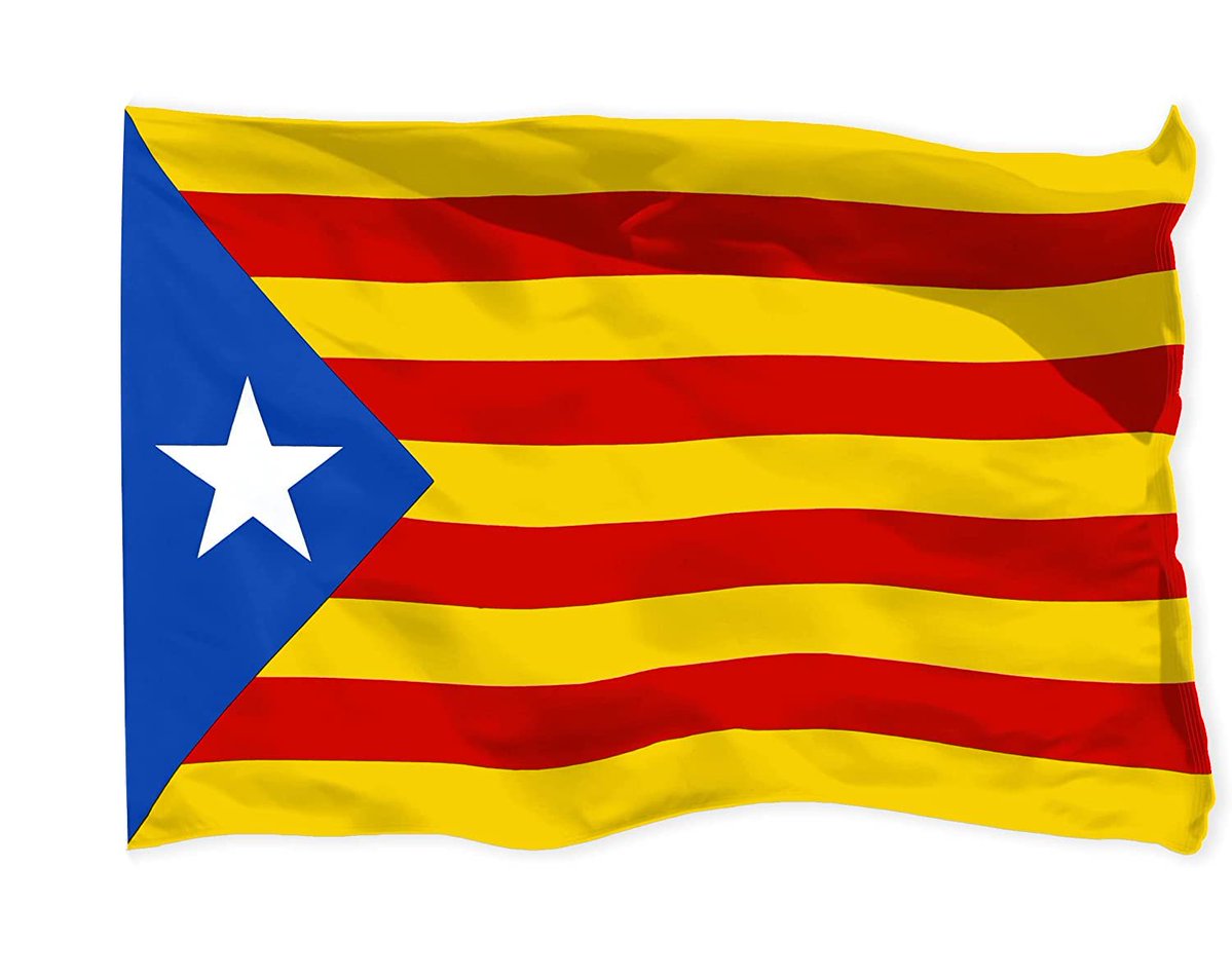 Pucurull's tweet photo. Pensant amb la extraordinària força que tenen les xarxes socials faig un suggeriment:
Pengeu, avui, una estelada al Twitter. https://t.co/bEzwU9TL2U