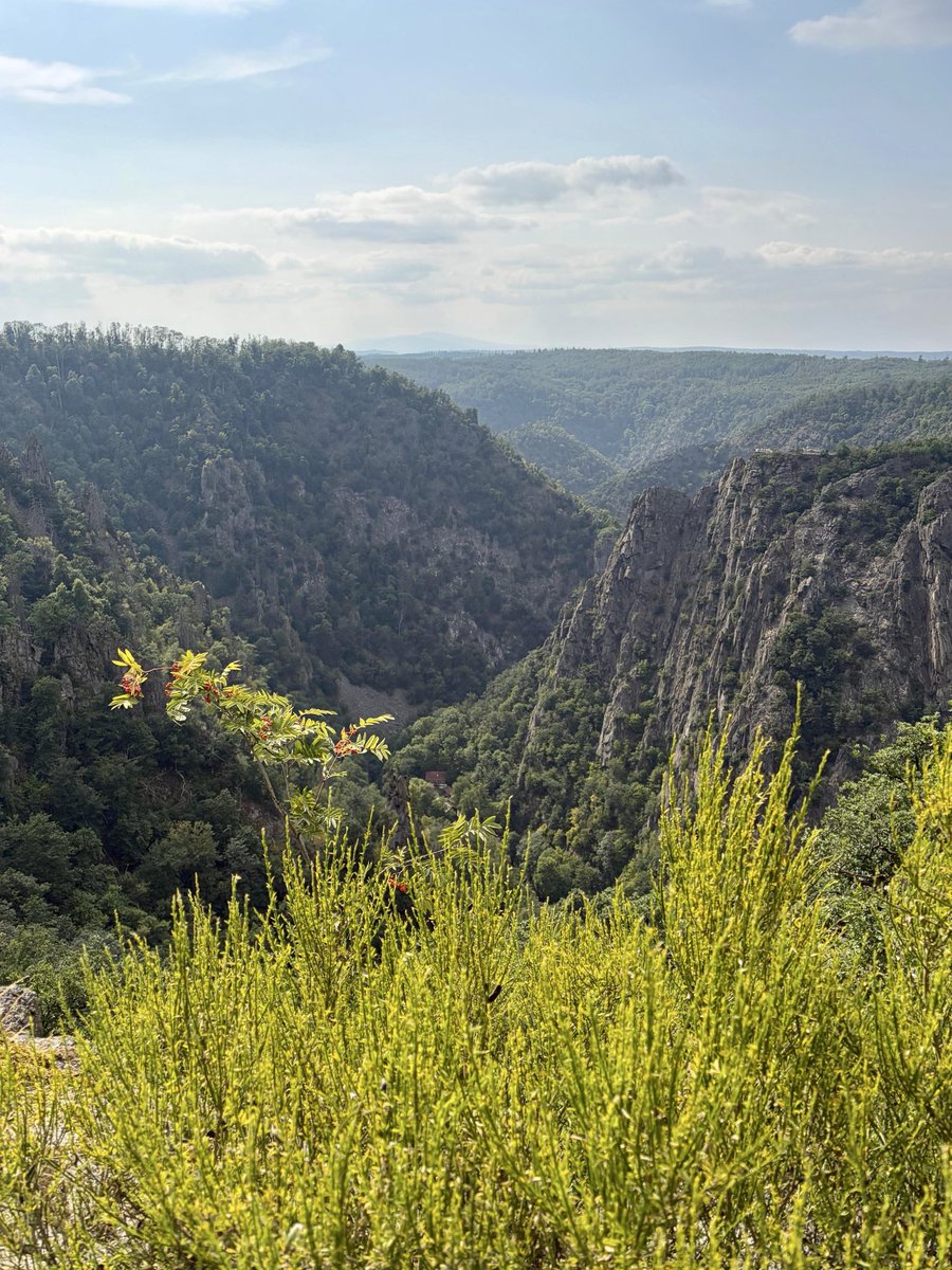 nxrthl1ght's tweet photo. From my trips to the Harz mountains. Home of myths and legends and inspiration for Goethe. https://t.co/dvP5TQwy9V