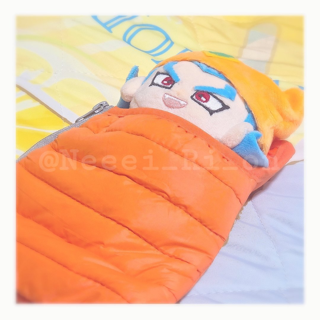 Neeei_Ri_on's tweet photo. 寝袋すやすやブートキャンプだねシャッパくん🏕 https://t.co/SmpAHKCOE7
