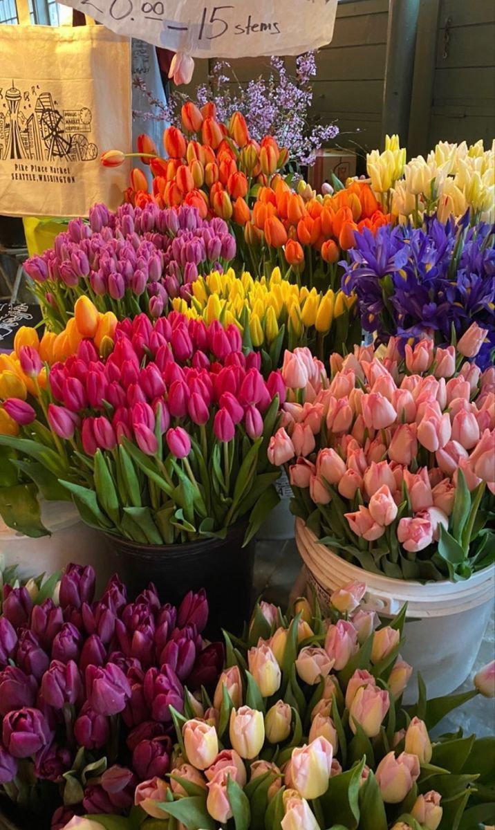 FLOWERS3700's tweet photo. https://t.co/N38QoGlzHu