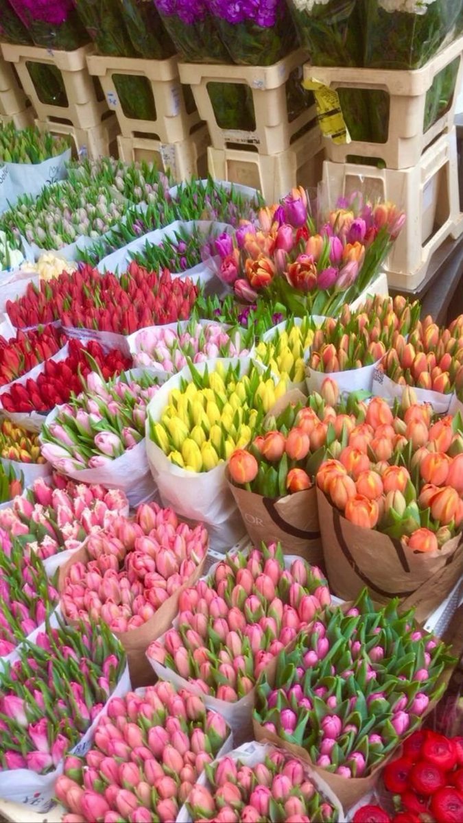 FLOWERS3700's tweet photo. https://t.co/N38QoGlzHu