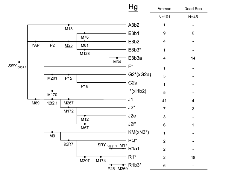 banashir77's tweet photo. @L19M81 Jordan is 3.96% E-M81 according to Flores et al. 2005. Moreover, ancient Middle Eastern samples are 100% E, none of them belong to your Iranian gypsy haplogroup. https://t.co/wBh9eYSQ2l