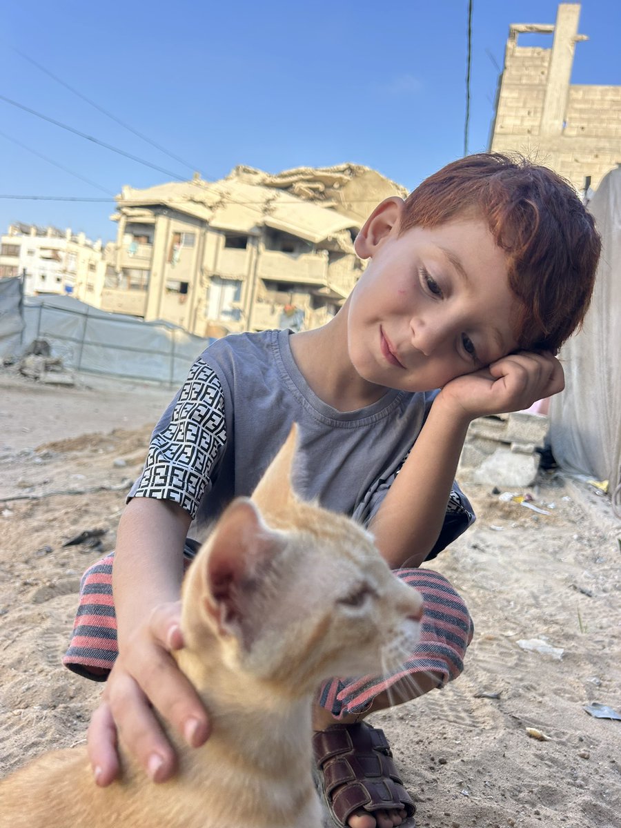 madeinPls's tweet photo. New pics of Amro and Kalamantina 🐈🧑🏻‍🦰❤️@Amrogaza1 https://t.co/ep8Lt4bSQX