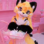 Photo by Maya (@maya_furry)