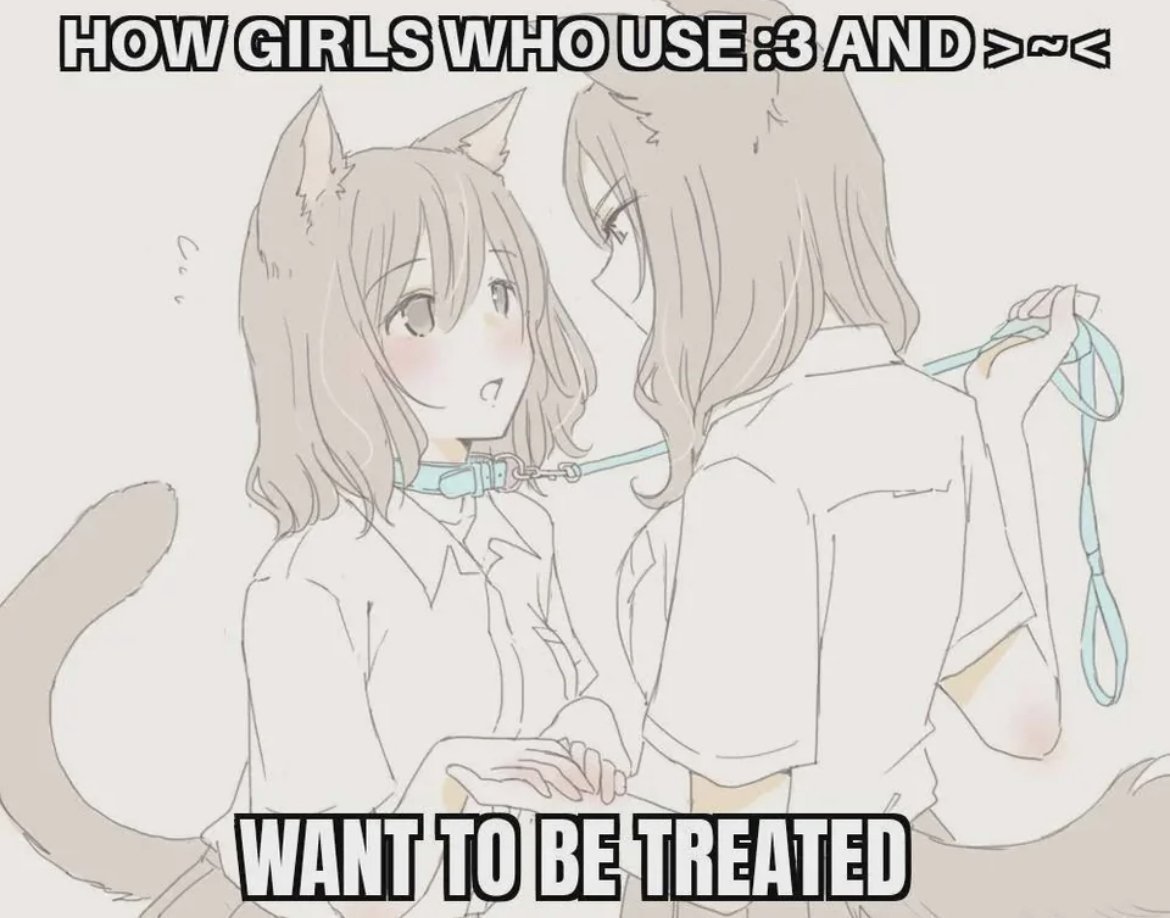 AstridFerr474's tweet photo. >ω< https://t.co/KDV3vpQ1Tr